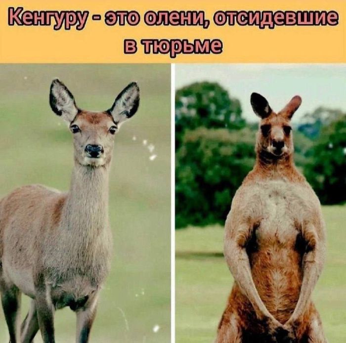 картинка 4d0ccbf17c 00