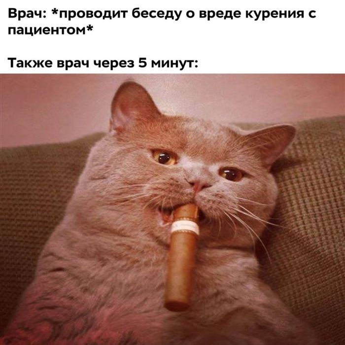 картинка 4f713fe691 chernyj jumor vo vsej krase bolshaja podborka vzroslyh prikolov 11