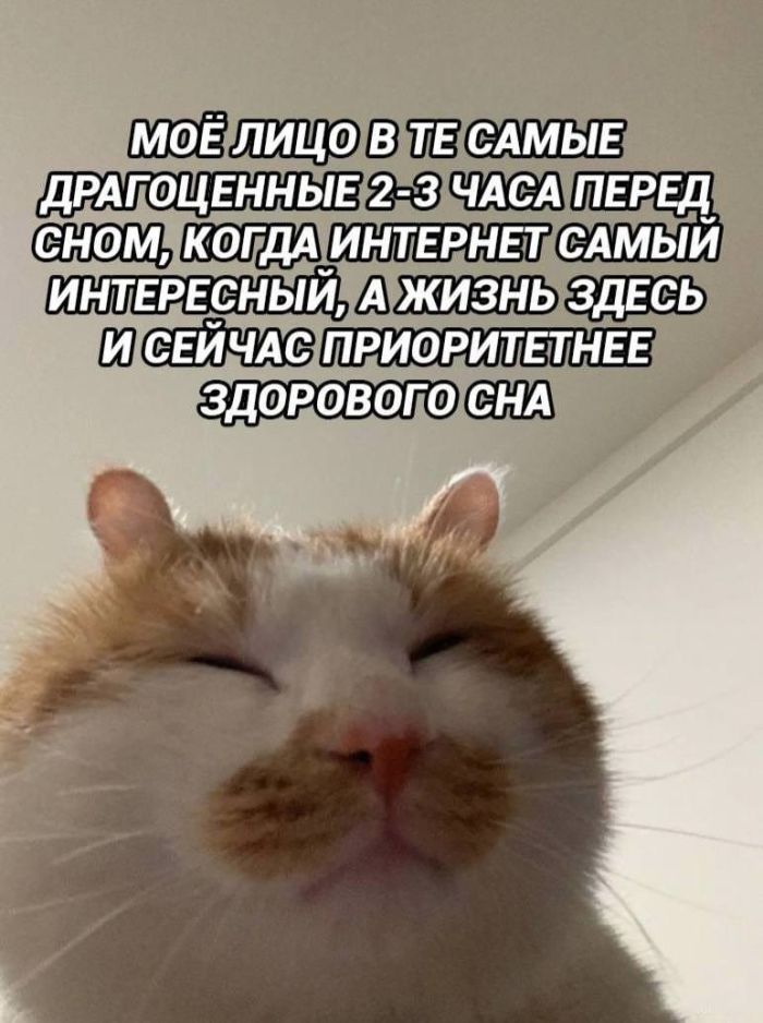 картинка 560ab0bf3d smeshnye kartinki topovye memy i pikantnye kommentarii iz socsetej 10