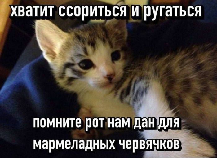 картинка 5a553b3ff6 malenkaja pjatnica uzhe zdes gotovy zarjaditsja pozitivom i posmejatsja ot dushi 7