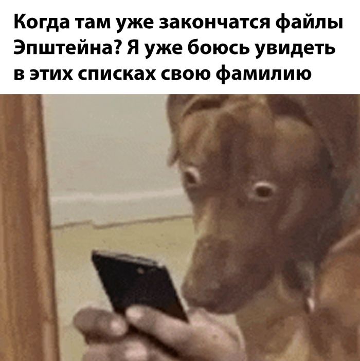 картинка 6667832257 zabudte o skuke my sobrali dlja vas samuju svezhuju porciju otbornyh memov i umoritelnyh kommentariev 10