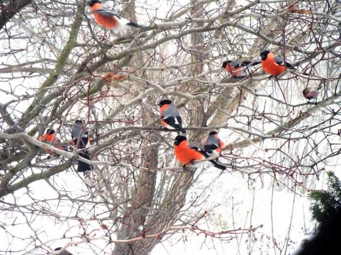 Сборник самых смешных приколов в маленькую пятницу! native-yes