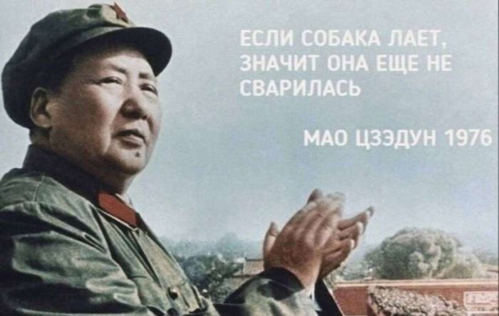 картинка 68c31a406f ostorozhno chernyj jumor samye svezhie memy i kartinki dlja teh kto ponimaet 21