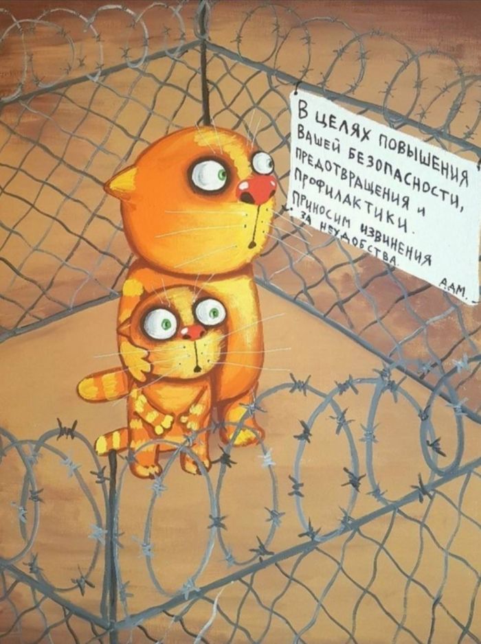 картинка 69219955d3 bolshoj sbornik svezhih memov i kommentariev iz socsetej vash zarjad pozitiva na ves den 3