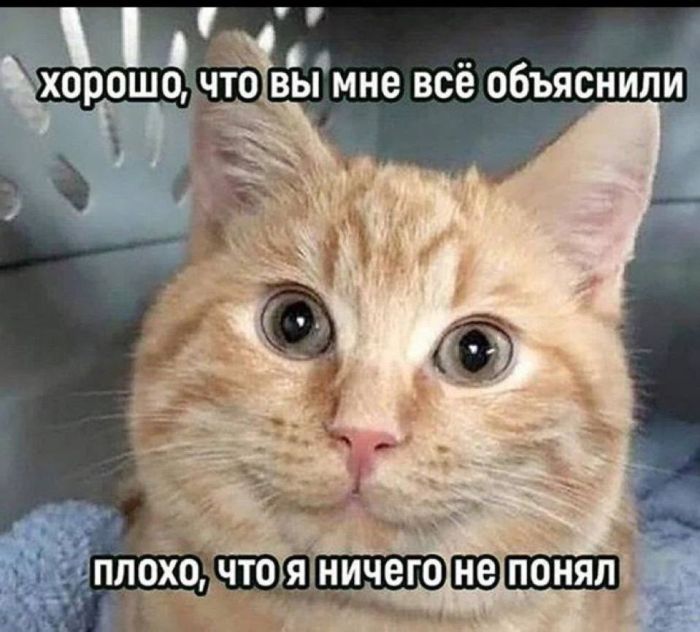 картинка 6d7df47cb6 ostorozhno vzroslyj kontent 1