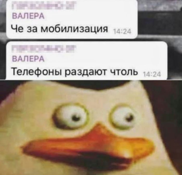 картинка 6fa1b2cffe bolshoj sbornik svezhih memov i kommentariev iz socsetej vash zarjad pozitiva na ves den 10