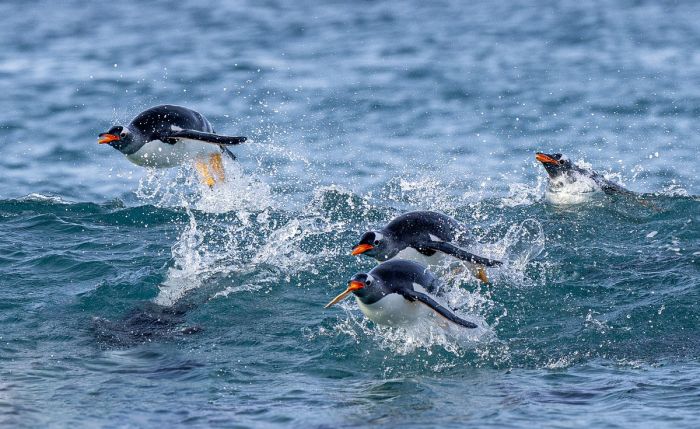 картинка 7791b3c160 malenkaja pjatnica uzhe zdes gotovy zarjaditsja pozitivom i posmejatsja ot dushi 5
