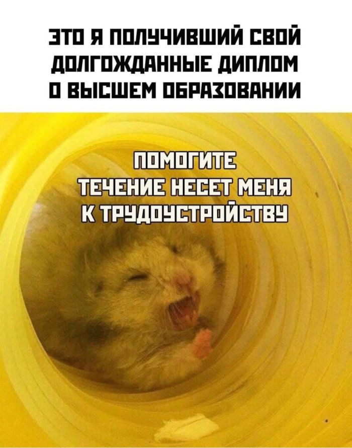 картинка 786a8b7b5c bolshoj sbornik svezhih memov i kommentariev iz socsetej vash zarjad pozitiva na ves den 19