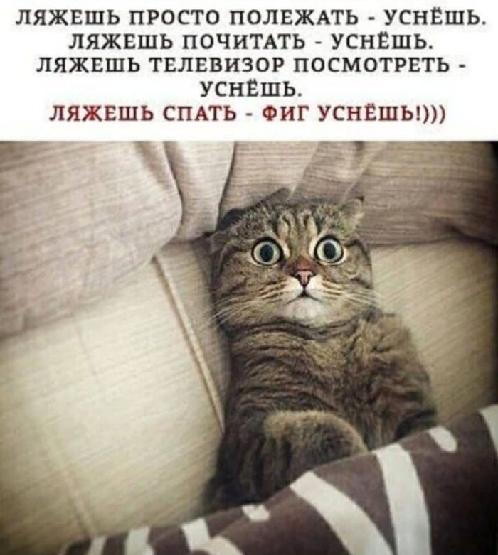 картинка 7f18605c1c ostorozhno chernyj jumor samye svezhie memy i kartinki dlja teh kto ponimaet 9