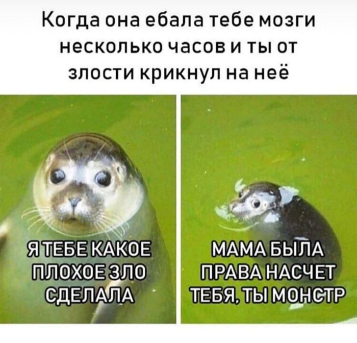 Как насчет того, чтобы сделать эту среду чуточку веселее? 😉