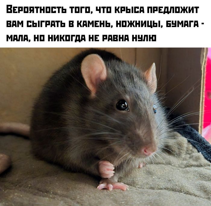 картинка 82a5e5ee99 smeshnye kartinki topovye memy i pikantnye kommentarii iz socsetej 15