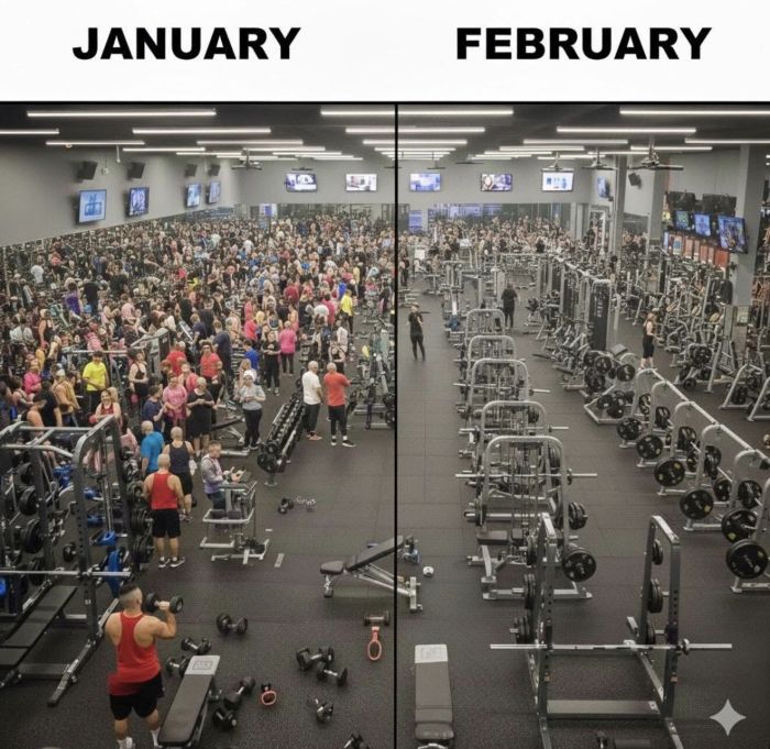 картинка 876d1284a3 0000