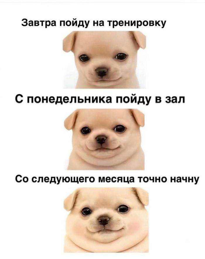 картинка 887288869e vash bilet v mir horoshego nastroenija novyj sbornik svezhih shutok 00