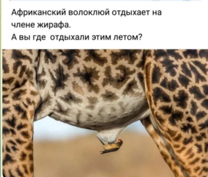 картинка 926a525f50 pjatnica druzja vremja otbrosit vse zaboty i vstretit vyhodnye s ulybkoj 14