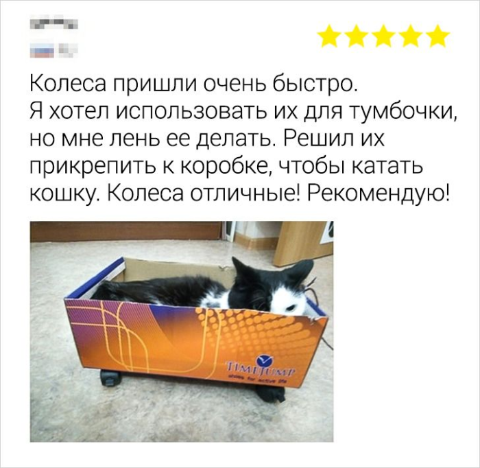 картинка 957abc8c66 bolshoj sbornik svezhih memov i kommentariev iz socsetej vash zarjad pozitiva na ves den 8