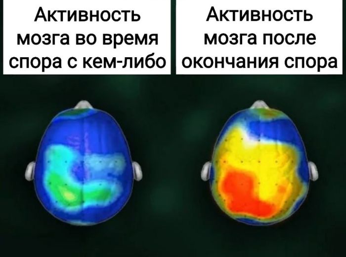 картинка 97ad82ce24 malenkaja pjatnica uzhe zdes gotovy zarjaditsja pozitivom i posmejatsja ot dushi 2
