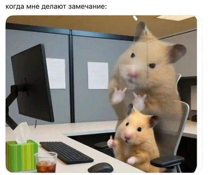 картинка 9d6cc537a6 smeshnye kartinki topovye memy i pikantnye kommentarii iz socsetej 4