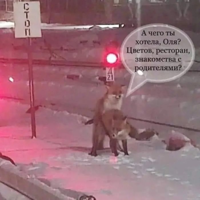 Большая подборка смешных картинок и мемов для вашего отличного настроения!