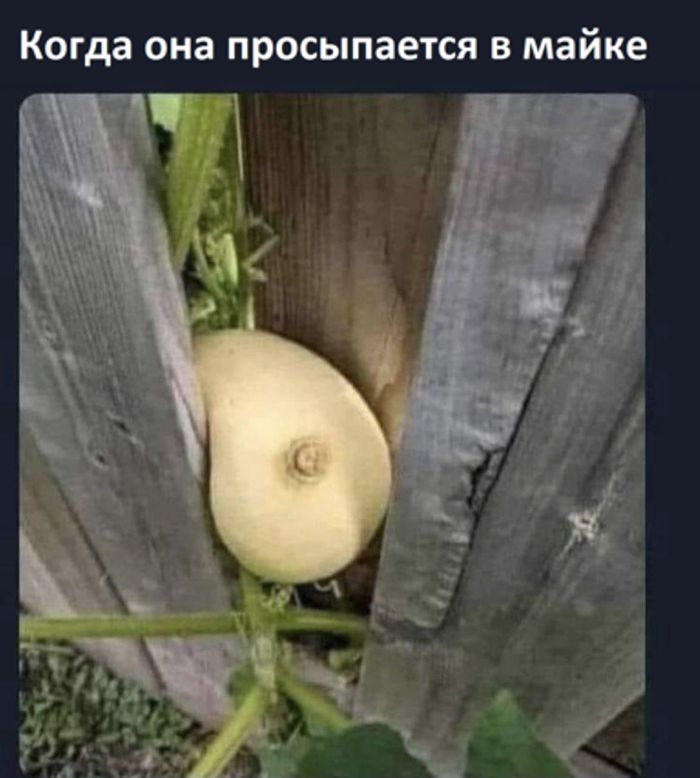 картинка a298cb0415 zabudte o skuke my sobrali dlja vas samuju svezhuju porciju otbornyh memov i umoritelnyh kommentariev 0000