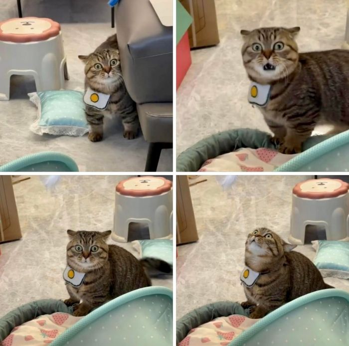 картинка a4206f0607 pjatnica druzja vremja otbrosit vse zaboty i vstretit vyhodnye s ulybkoj 4