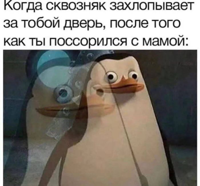 Сборник самых смешных приколов в маленькую пятницу! native-yes