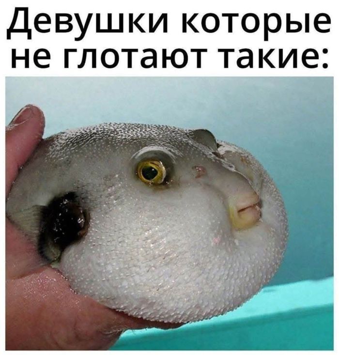 картинка ac7819bcd8 chernyj jumor vo vsej krase bolshaja podborka vzroslyh prikolov 00