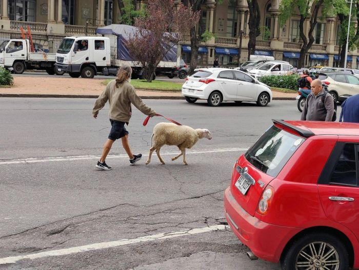 Маленькая пятница уже здесь! Заряжаемся позитивом на всю среду! Маленькая пятница уже здесь! Заряжаемся позитивом на всю среду! native-yes