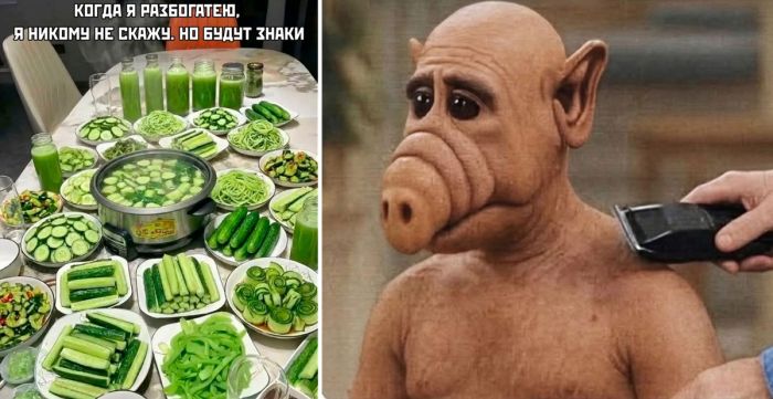 Маленькая пятница уже здесь! 🎉 Готовы зарядиться позитивом и посмеяться от души?