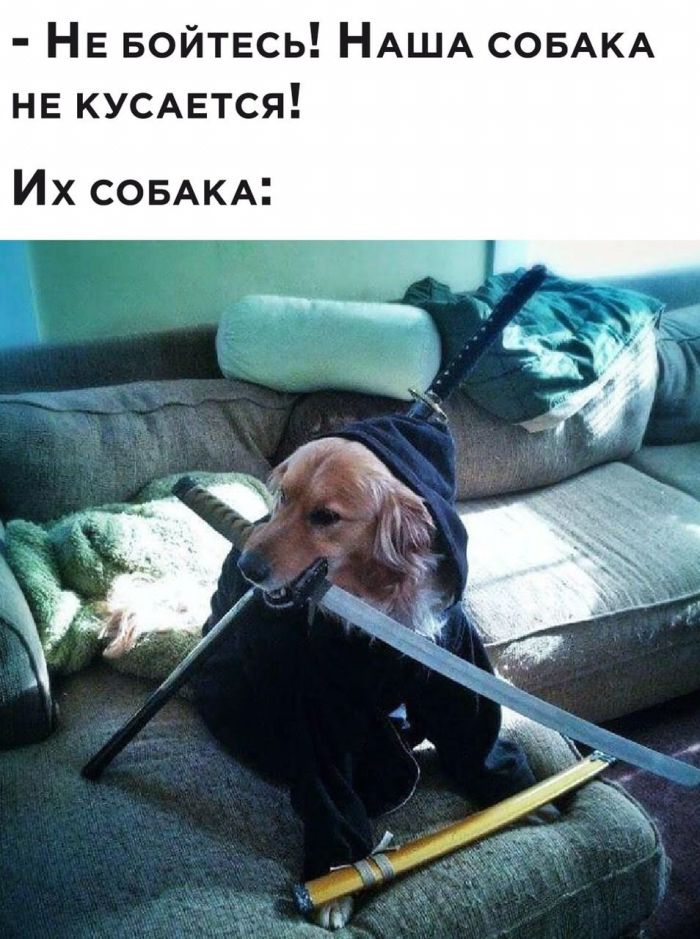 картинка b66c4bcb6e smeshnye kartinki topovye memy i pikantnye kommentarii iz socsetej 8