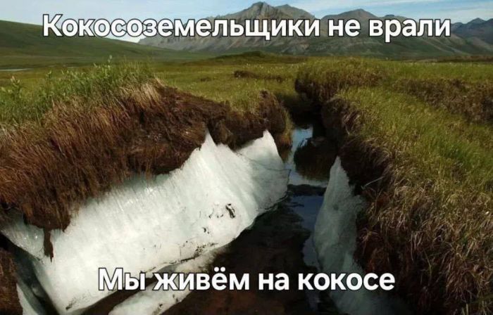 картинка d39946d436 0000000