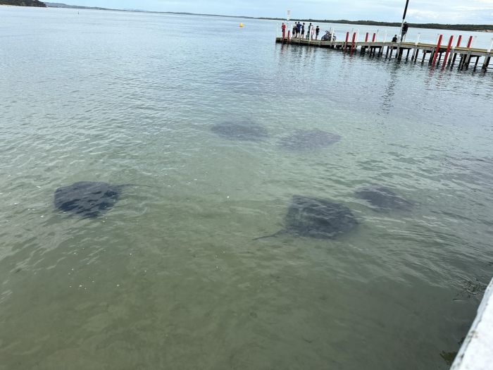 Маленькая пятница уже здесь! Заряжаемся позитивом на всю среду! Маленькая пятница уже здесь! Заряжаемся позитивом на всю среду! native-yes