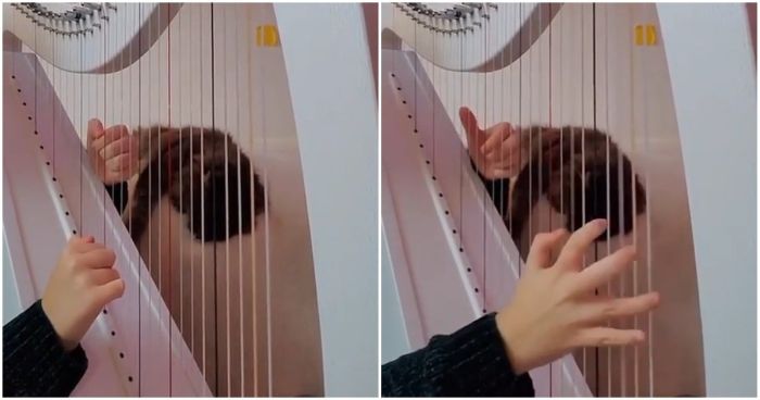 Хит 90-х на арфе