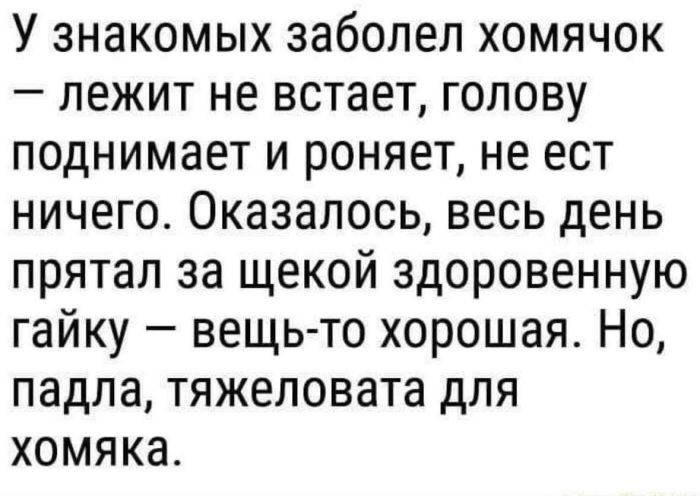 картинка d73e5ef65f ischete jumor kotoryj zastavit vas krasnet i smejatsja odnovremenno togda vam sjuda 10