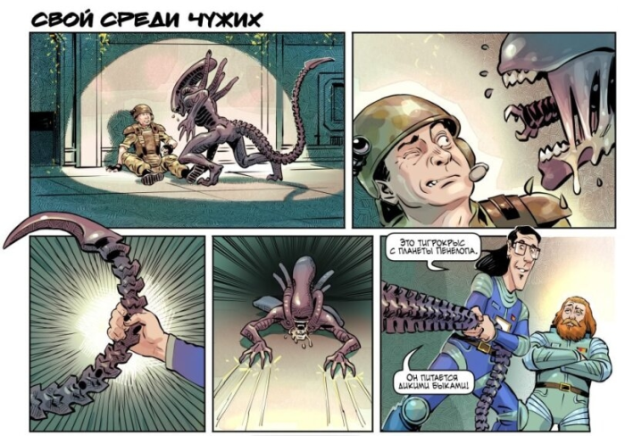 картинка d88e355da7 1770218964