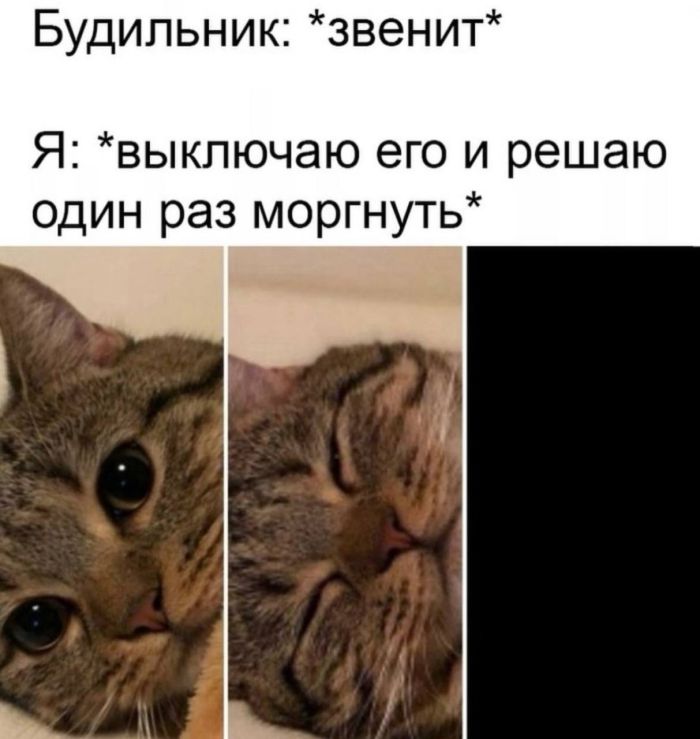 Сборник самых смешных приколов в маленькую пятницу! native-yes