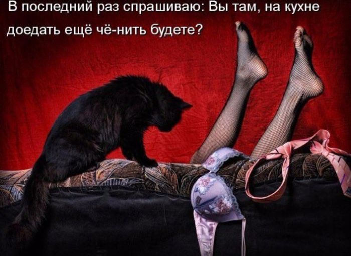 картинка e8f8e08088 svezhie shutki memy i kartinki dlja vashego otlichnogo nastroenija 2