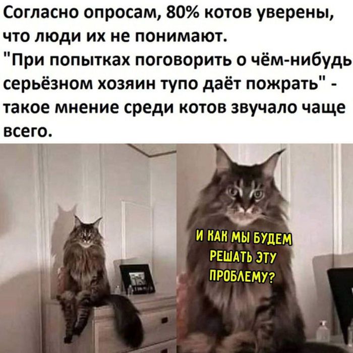 картинка f2cb34bc99 smeshnye kartinki topovye memy i pikantnye kommentarii iz socsetej 17