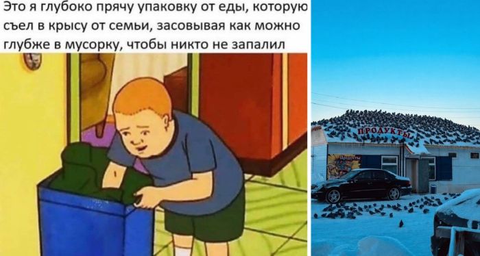 Большой сборник приколов в пятницу!