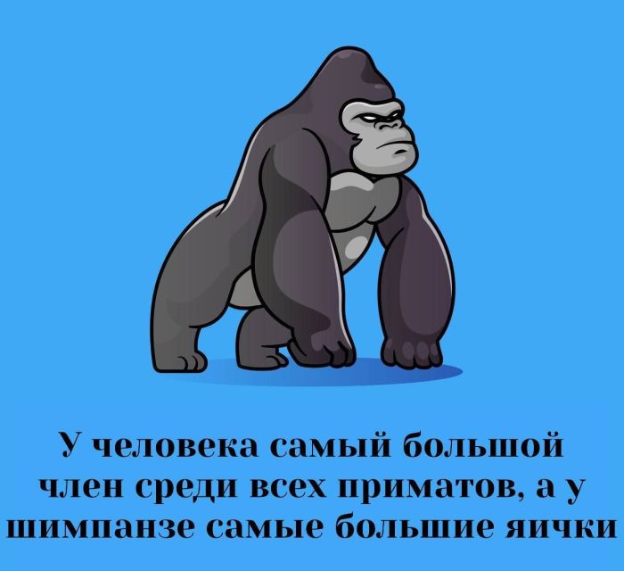 картинка fbb6dd30d5 ustali ot milyh kotikov i shutok pro pogodu togda vam sjuda 10