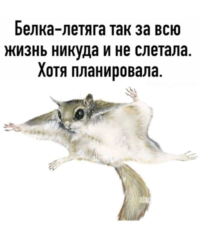 картинка fcf52a592f chernyj jumor vo vsej krase bolshaja podborka vzroslyh prikolov 6