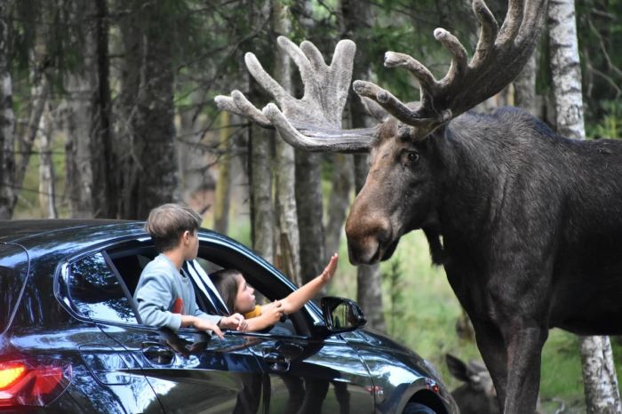 картинка 1356a292f6 pjatnica prishla vremja dlja smeha i pozitiva 7