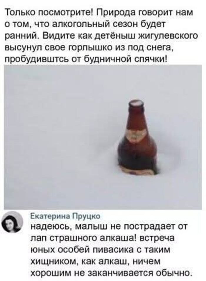 картинка 16fc64bc95 ostorozhno kontent 18 15