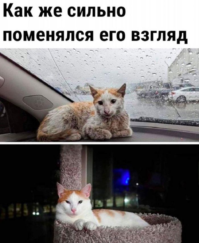 Готовьтесь к выходным с улыбкой! Ваш личный сборник мемов уже здесь Готовьтесь к выходным с улыбкой! Ваш личный сборник мемов уже здесь которые, выходные, самый, позитива, только, самых, сборник, каждый, друзья, чтобы, просто, посмеяться, меняАбсурдный, хорошего, максимальную, заставят, гарантировать, сказать, заботой, любовью