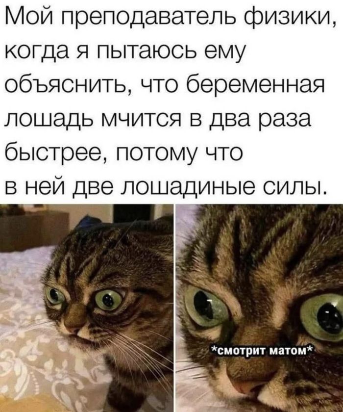 картинка 2ad1f11424 pjatnica prishla vremja dlja smeha i pozitiva 7