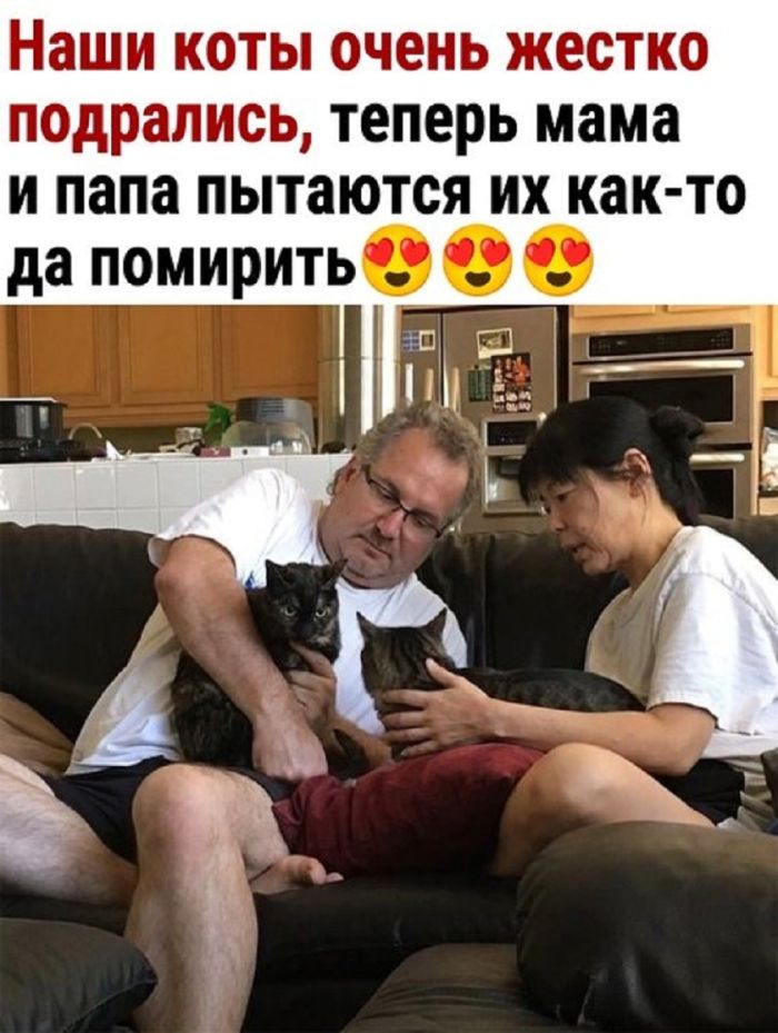 Готовьтесь к выходным с улыбкой! Ваш личный сборник мемов уже здесь Готовьтесь к выходным с улыбкой! Ваш личный сборник мемов уже здесь которые, выходные, самый, позитива, только, самых, сборник, каждый, друзья, чтобы, просто, посмеяться, меняАбсурдный, хорошего, максимальную, заставят, гарантировать, сказать, заботой, любовью