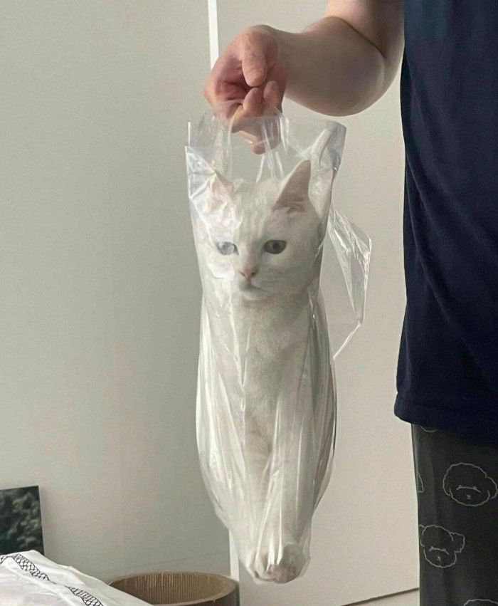 картинка 3d9efe0a29 pjatnica vremja dlja smeha lovite novuju porciju prikolov 9