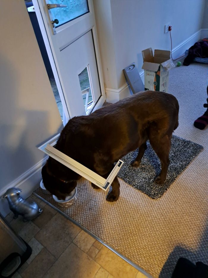 картинка 4044f884a5 pjatnica prishla vremja dlja smeha i pozitiva 13