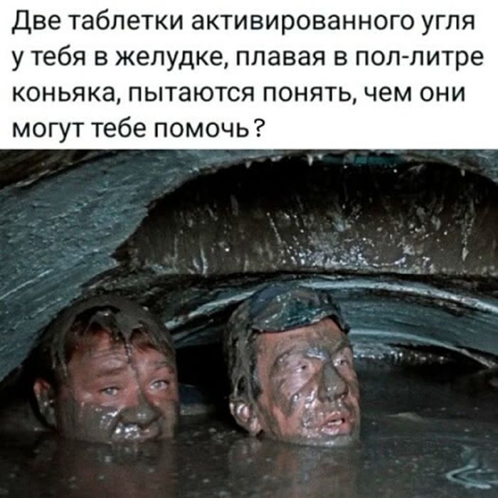 Начало недели? Не беда! Заряжаемся позитивом с юмором!