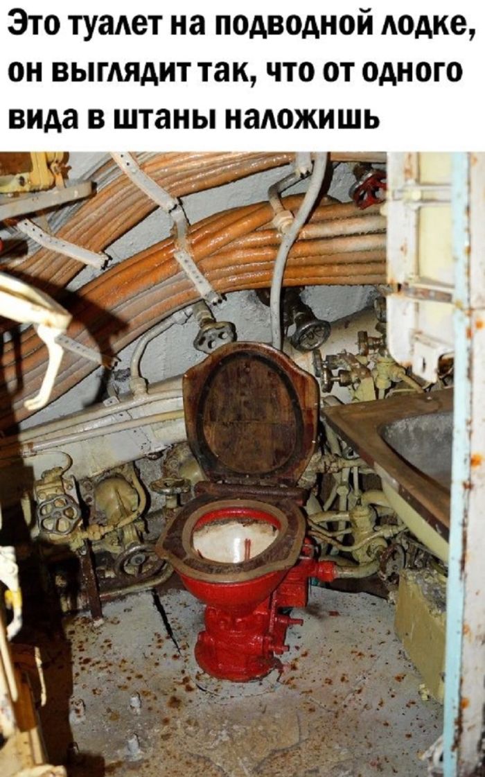 картинка 444bf89c70 lovite volnu pozitiva luchshie shutki v memah dlja vashego nastroenija 9