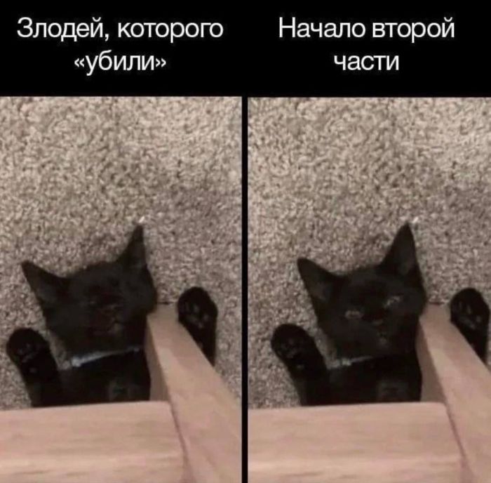 картинка 4f686ed057 smeh prodlevaet zhizn a memy delajut ee jarche 16